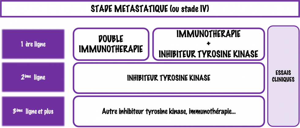 Schéma des thérapeutiques envisageables au stade métastatique du cancer du rein