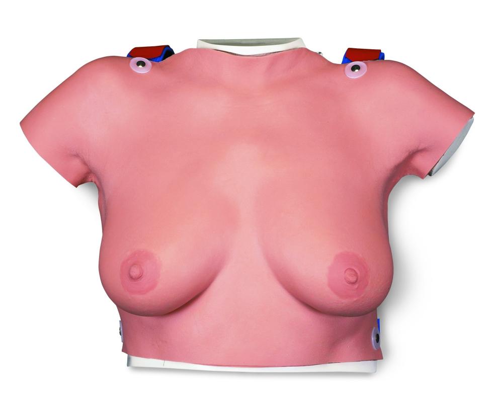 Buste de palpation mammaire 3B Scientific