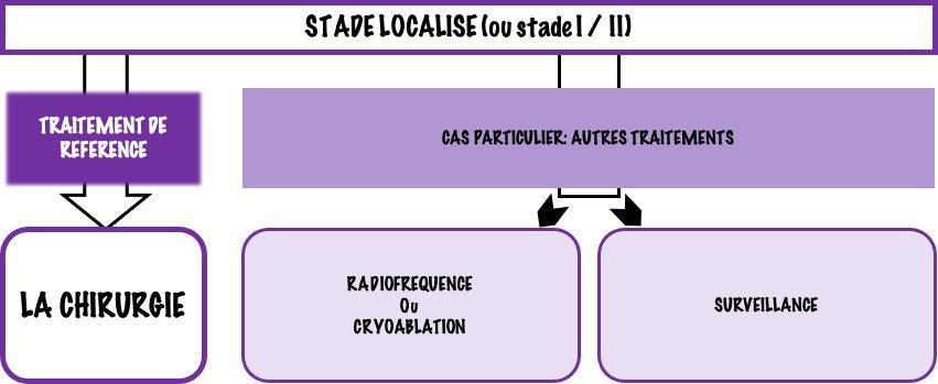 Synthèse thérapeutique au stade localisé du cancer du rein